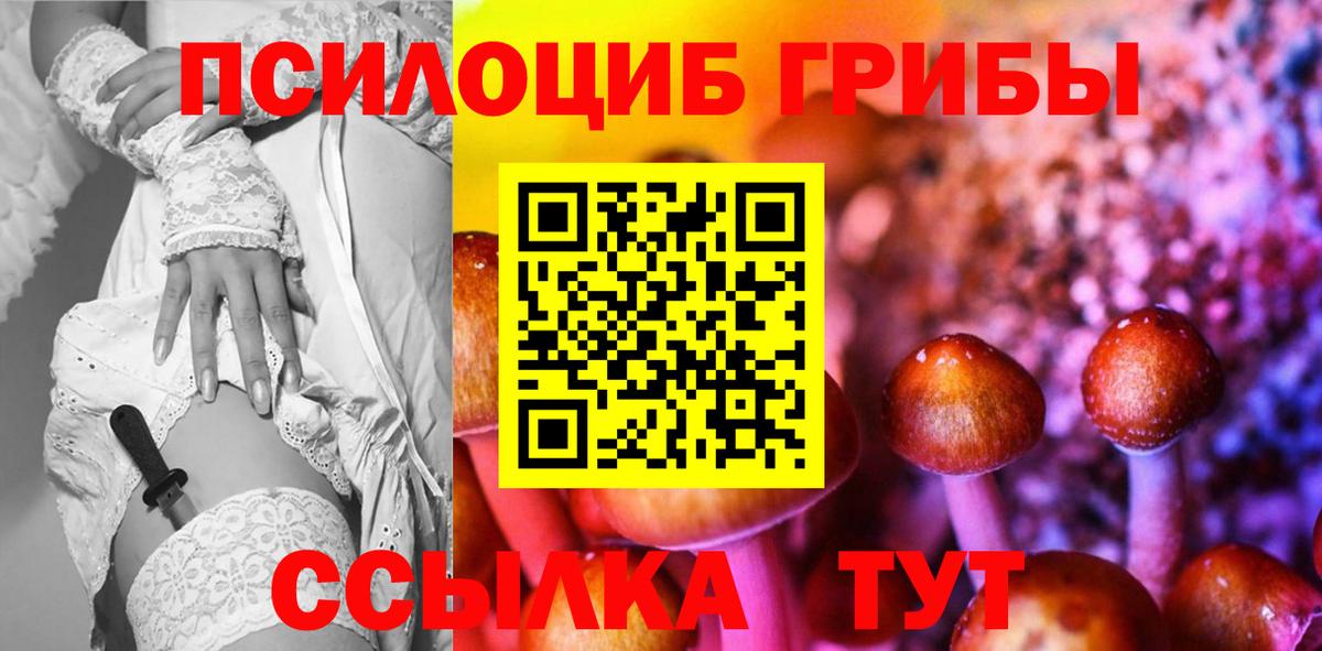Галлюциногенные грибы Psilocybe Будённовск